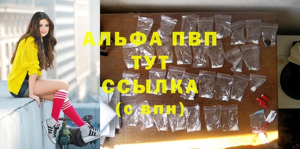 хмурый Алексин