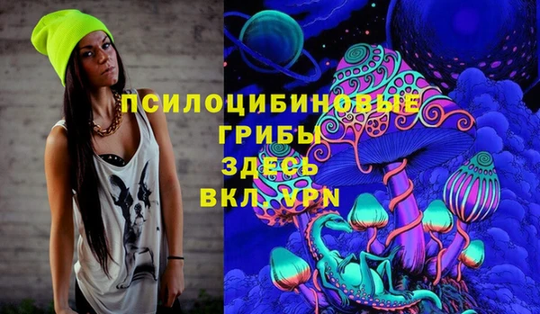 хмурый Алексин